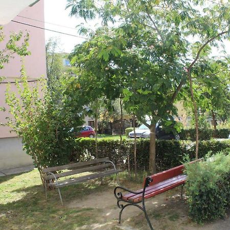 Apartament Anca Lejlighed Tîrgu Ocna Eksteriør billede
